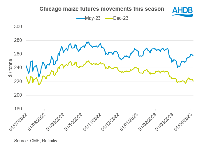 Figure showing maize futures movements this season